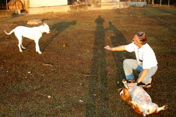 Figura 2: Sombras em Araraquara.